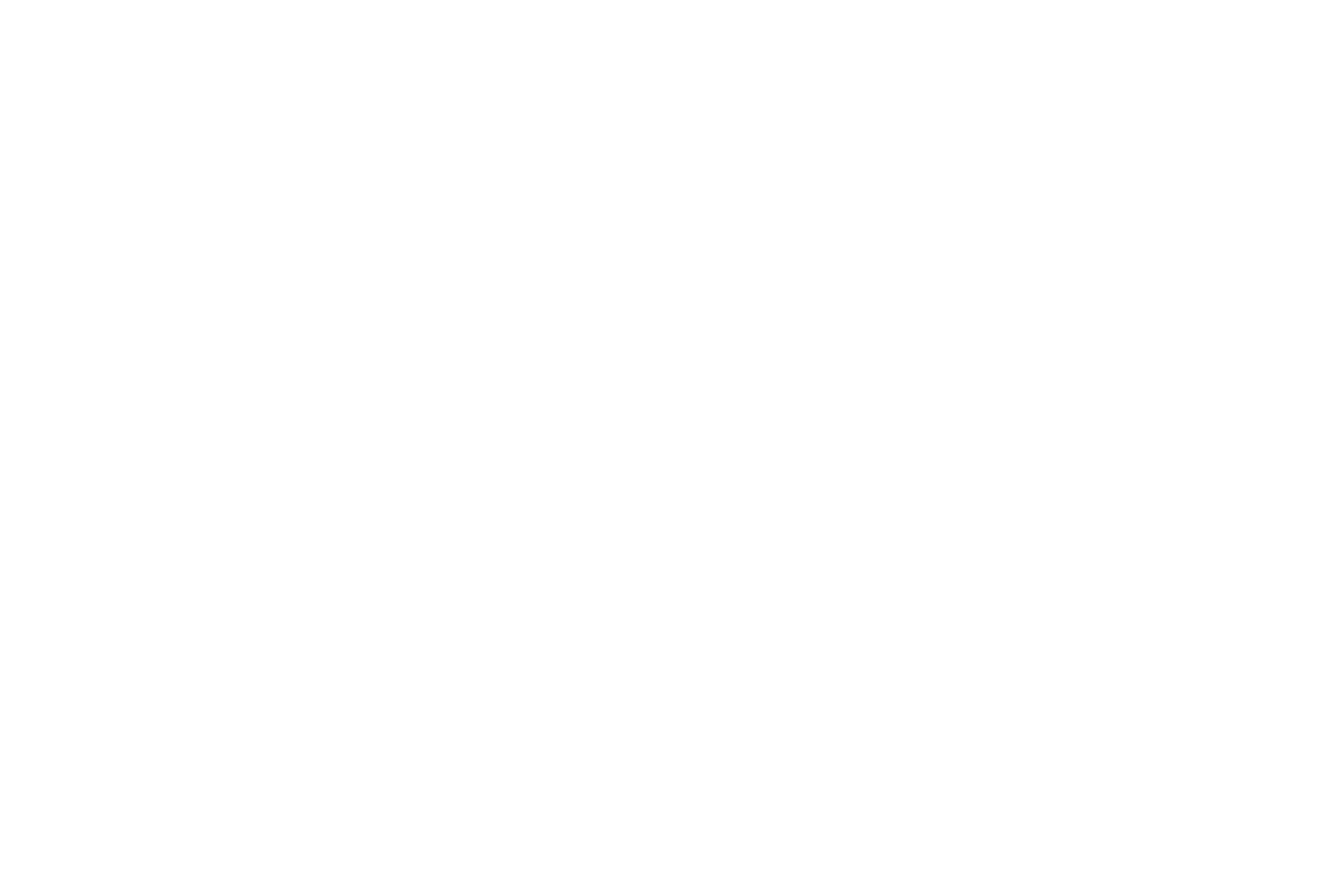 BIV Logo